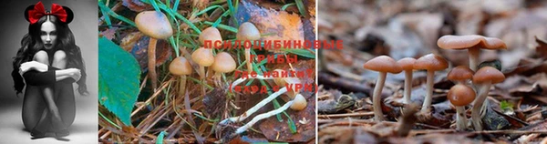 гашишное масло Арсеньев