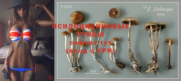 дурь Армянск