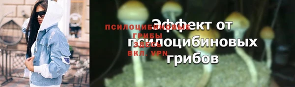 прущий лед Аркадак