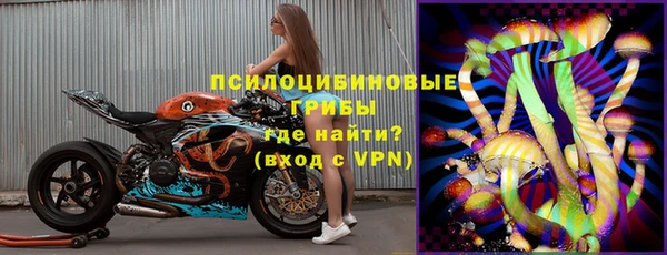 прущий лед Аркадак